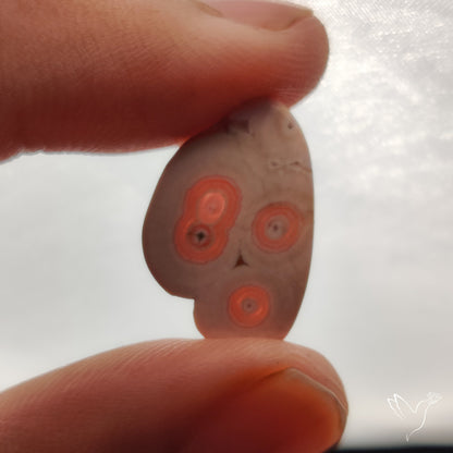 Rare Rhodochrosite Stalactite