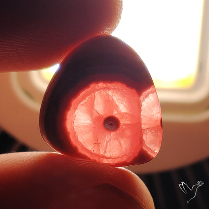 Rare Rhodochrosite Stalactite