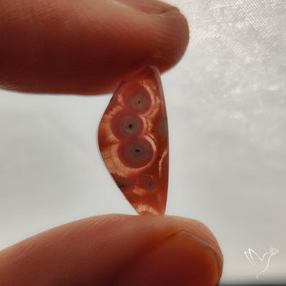 Rare Rhodochrosite Stalactite