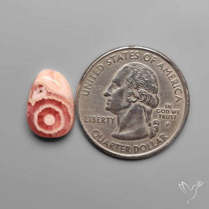 Rare Rhodochrosite Stalactite