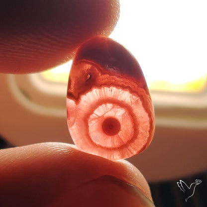 Rare Rhodochrosite Stalactite