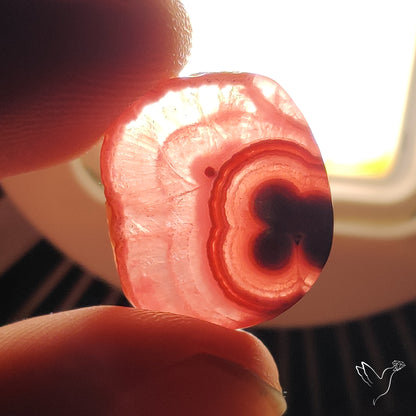Rare Rhodochrosite Stalactite