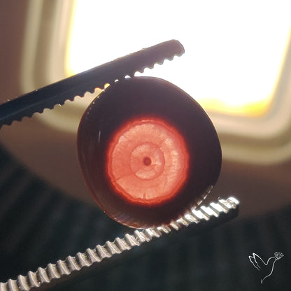 Rare Rhodochrosite Stalactite