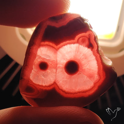 Rare Rhodochrosite Stalactite