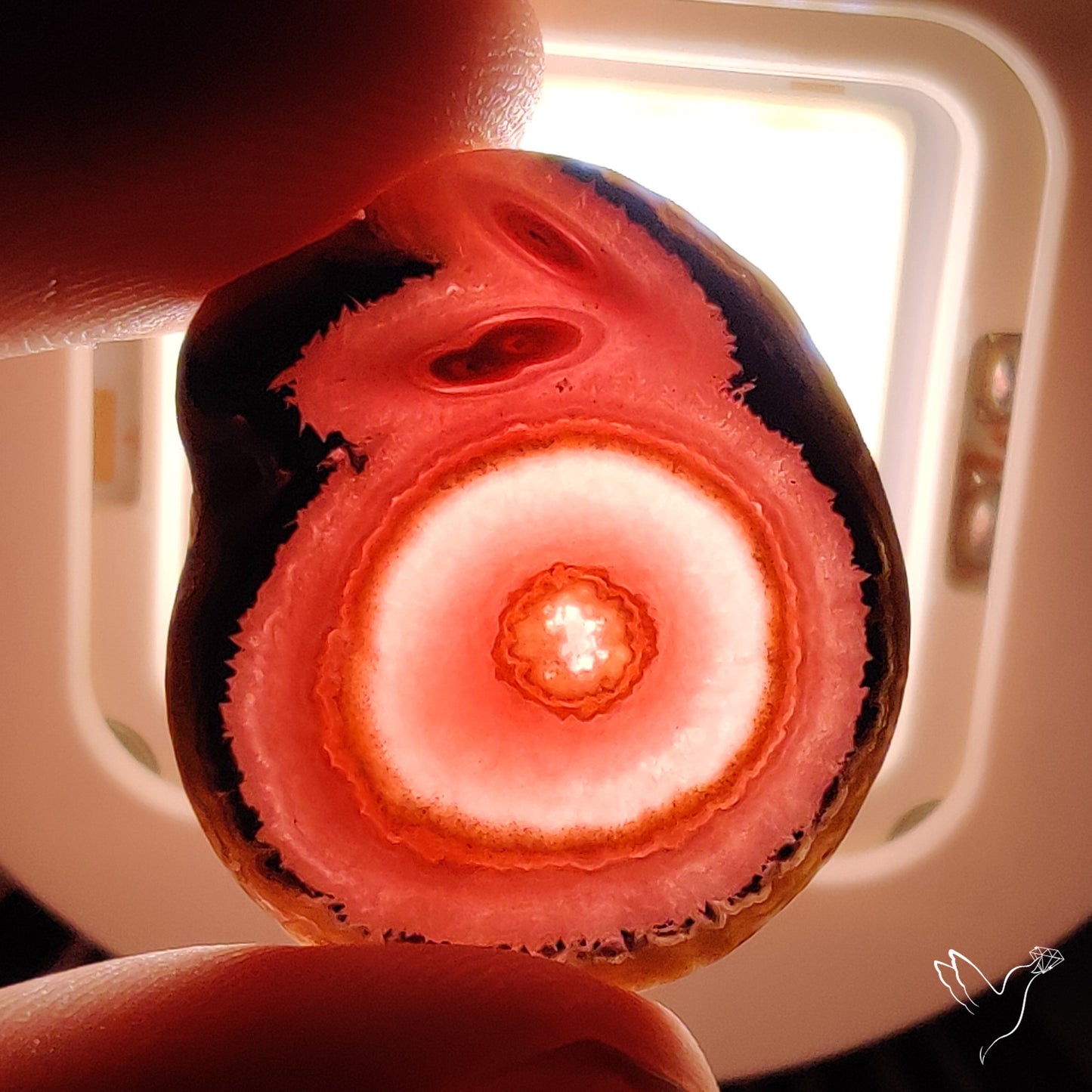 Rare Rhodochrosite Stalactite