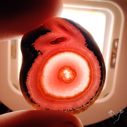 Rare Rhodochrosite Stalactite