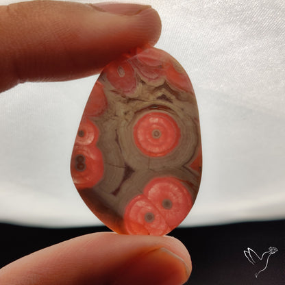 Rare Rhodochrosite Stalactite