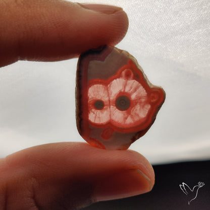Rare Rhodochrosite Stalactite