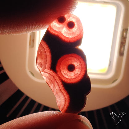 Rare Rhodochrosite Stalactite