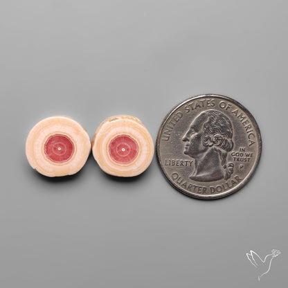 Rhodochrosite Stalactite Pair
