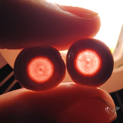 Rhodochrosite Stalactite Pair