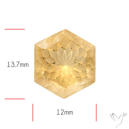Faceted Clear Citrine Reverse Intaglio Fantasy Cut
