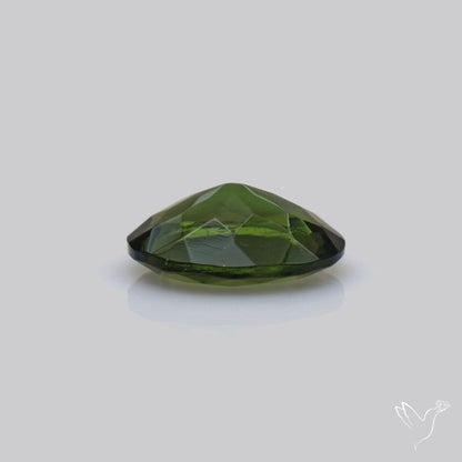 Faceted Rare Moldavite
