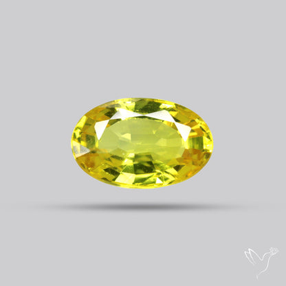 Faceted Yellow Sapphire Small Multi Sapphire