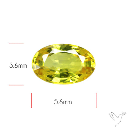 Faceted Yellow Sapphire Small Multi Sapphire