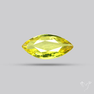 Faceted Yellow Sapphire Small Multi Sapphire