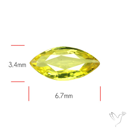 Faceted Yellow Sapphire Small Multi Sapphire