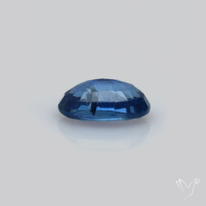 Faceted Blue Sapphire Small Multi Sapphire