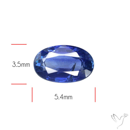 Faceted Blue Sapphire Small Multi Sapphire