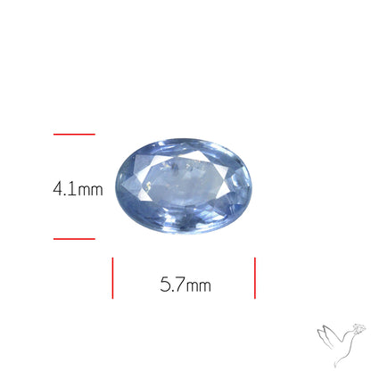 Faceted Blue Sapphire Small Multi Sapphire