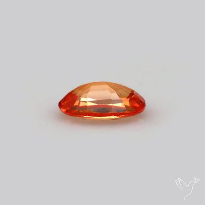 Faceted Red Sapphire Small Multi Sapphire