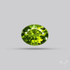 Faceted Arizona Peridot Large