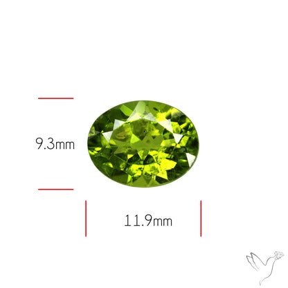 Faceted Arizona Peridot Large