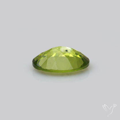 Faceted Arizona Peridot Large