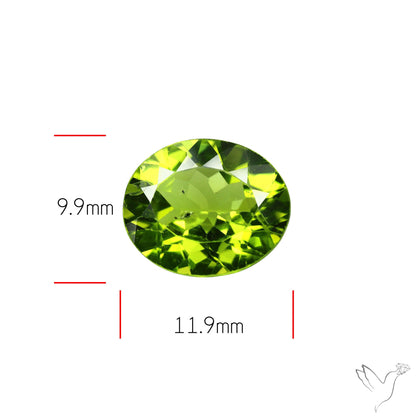 Faceted Arizona Peridot Large
