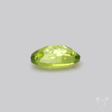 Faceted Arizona Peridot Large