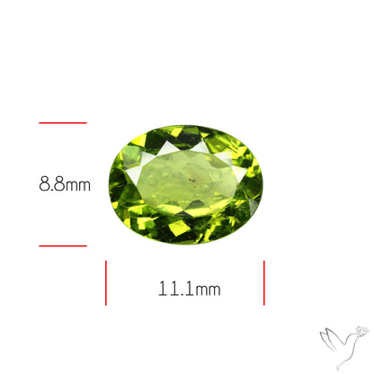 Faceted Arizona Peridot Large