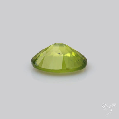 Faceted Arizona Peridot Large