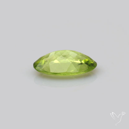 Faceted Arizona Peridot Large