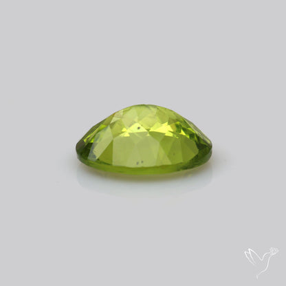 Faceted Arizona Peridot Large