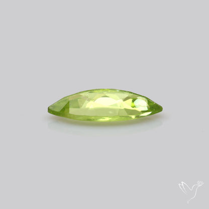 Faceted Arizona Peridot Large