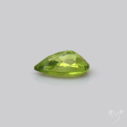 Faceted Arizona Peridot Large