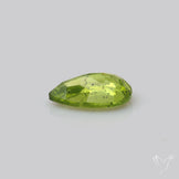 Faceted Arizona Peridot Large