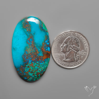 Peruvian Chrysocolla Cabochon Selected Material