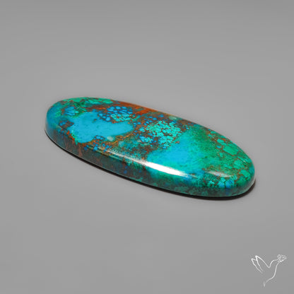 Peruvian Chrysocolla Cabochon Selected Material