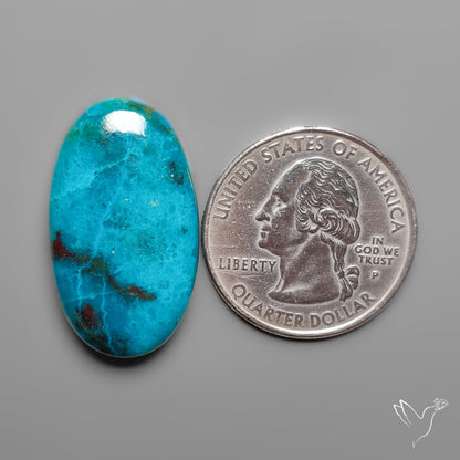 Peruvian Chrysocolla Cabochon Selected Material