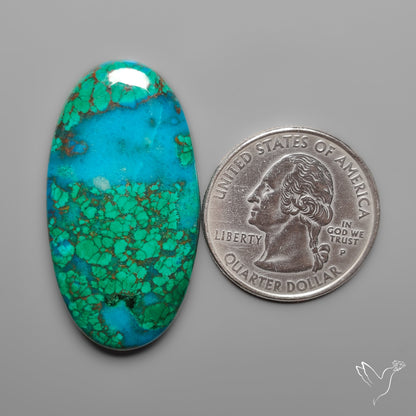 Peruvian Chrysocolla Cabochon Selected Material