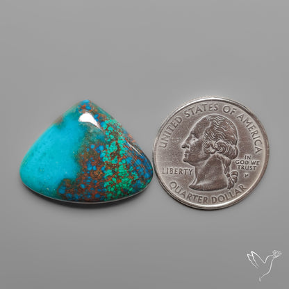 Peruvian Chrysocolla Cabochon Selected Material