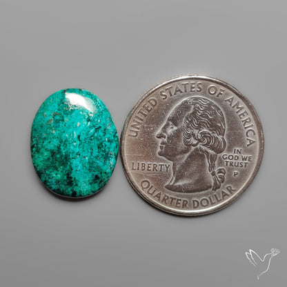 Peruvian Chrysocolla Cabochon Selected Material