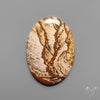 Deschutes Picture Jasper Cabochon