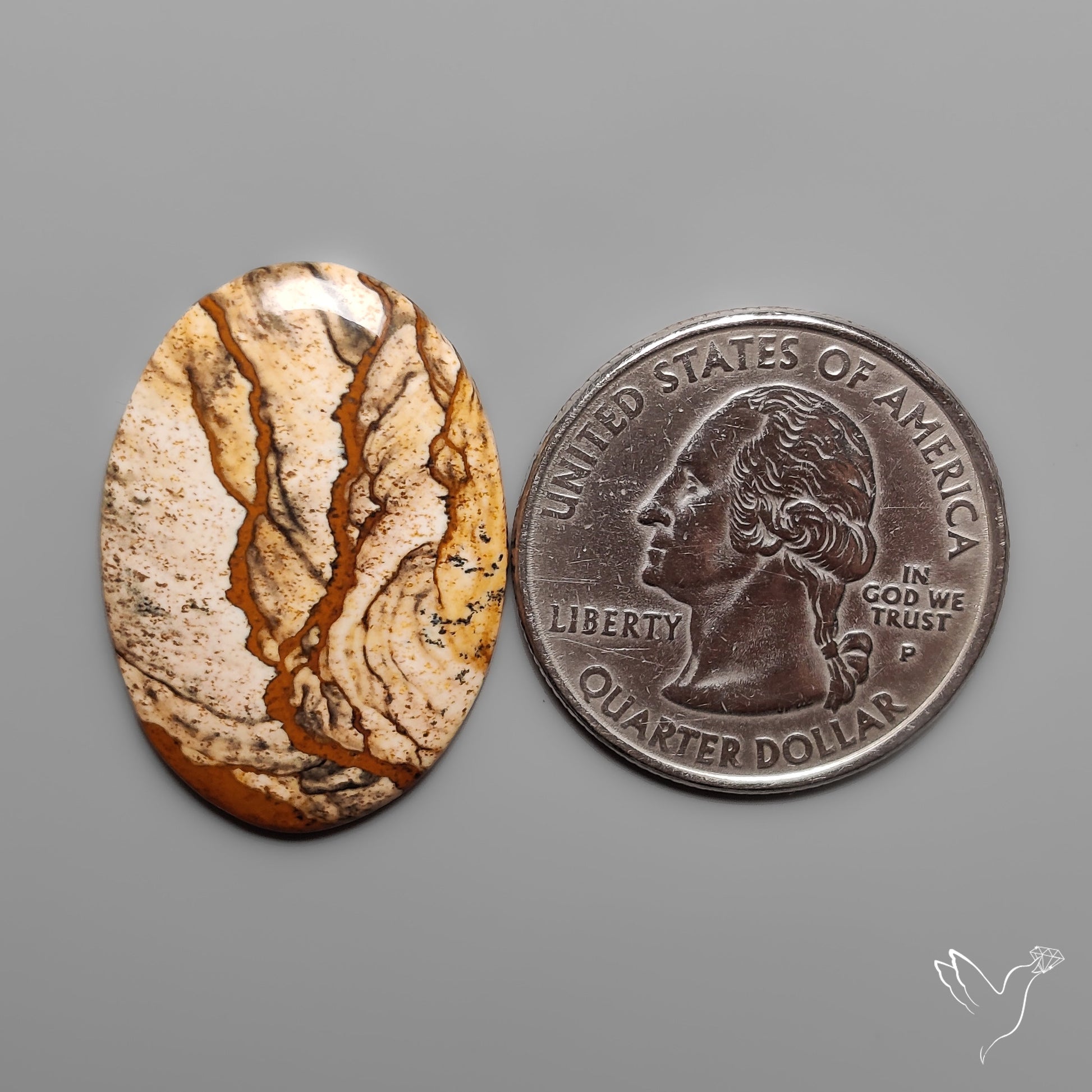 Deschutes Picture Jasper Cabochon