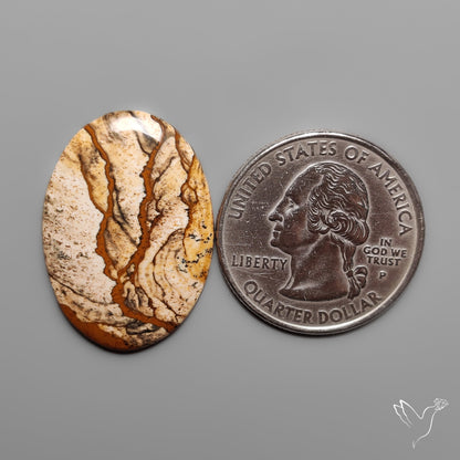 Deschutes Picture Jasper Cabochon