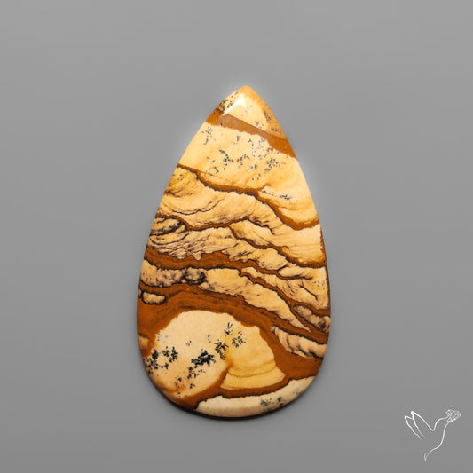 Deschutes Picture Jasper Cabochon