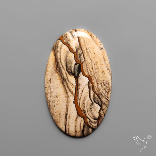 Deschutes Picture Jasper Cabochon