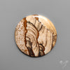 Deschutes Picture Jasper Cabochon