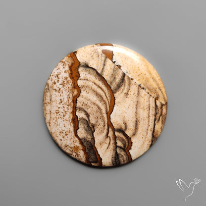 Deschutes Picture Jasper Cabochon
